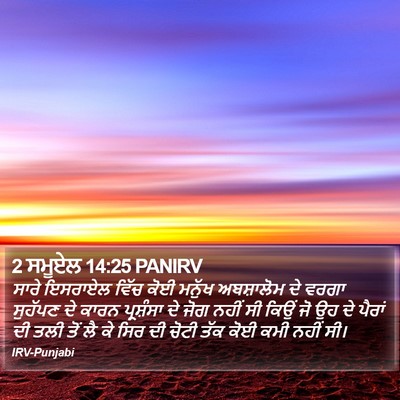 2 ਸਮੂਏਲ 14:25 PANIRV Bible Verse Image