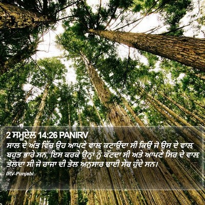 2 ਸਮੂਏਲ 14:26 PANIRV Bible Verse Image