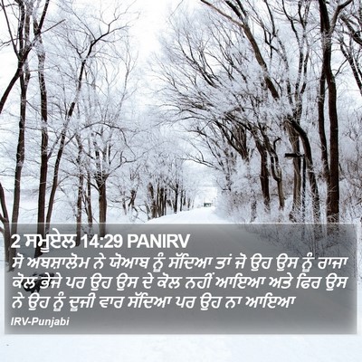 2 ਸਮੂਏਲ 14:29 PANIRV Bible Verse Image