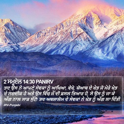2 ਸਮੂਏਲ 14:30 PANIRV Bible Verse Image