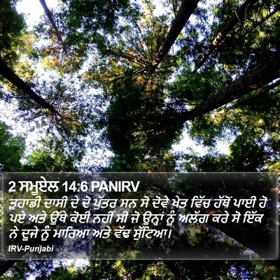 2 ਸਮੂਏਲ 14:6 PANIRV Bible Verse Image