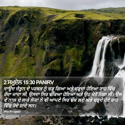 2 ਸਮੂਏਲ 15:30 PANIRV Bible Verse Image