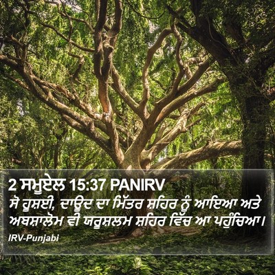 2 ਸਮੂਏਲ 15:37 PANIRV Bible Verse Image