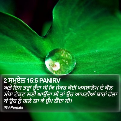 2 ਸਮੂਏਲ 15:5 PANIRV Bible Verse Image