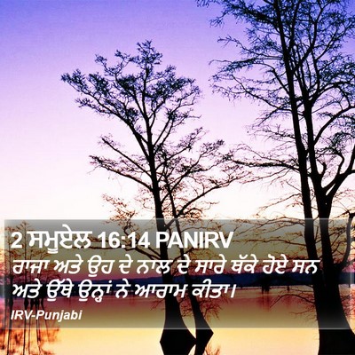 2 ਸਮੂਏਲ 16:14 PANIRV Bible Verse Image