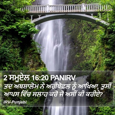 2 ਸਮੂਏਲ 16:20 PANIRV Bible Verse Image