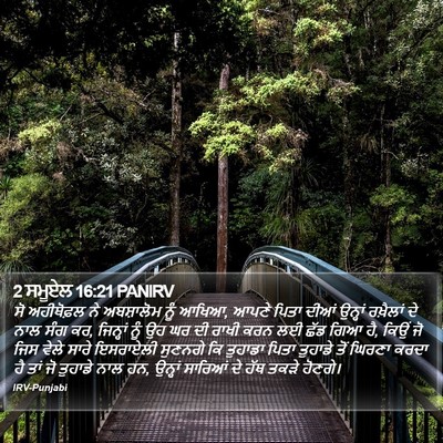 2 ਸਮੂਏਲ 16:21 PANIRV Bible Verse Image