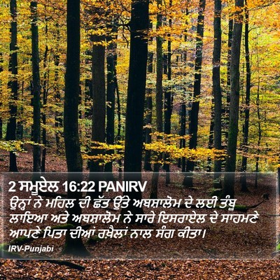 2 ਸਮੂਏਲ 16:22 PANIRV Bible Verse Image