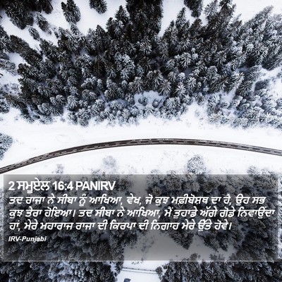 2 ਸਮੂਏਲ 16:4 PANIRV Bible Verse Image