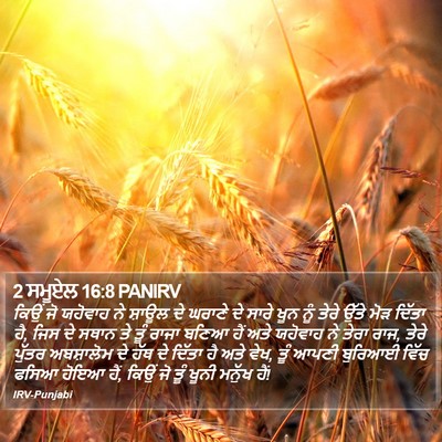 2 ਸਮੂਏਲ 16:8 PANIRV Bible Verse Image