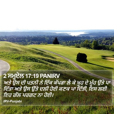 2 ਸਮੂਏਲ 17:19 PANIRV Bible Verse Image