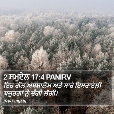 2 ਸਮੂਏਲ 17:4 PANIRV Bible Verse Image