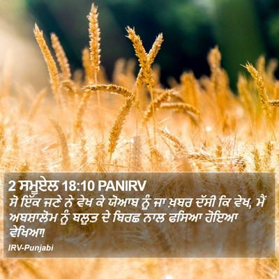 2 ਸਮੂਏਲ 18:10 PANIRV Bible Verse Image