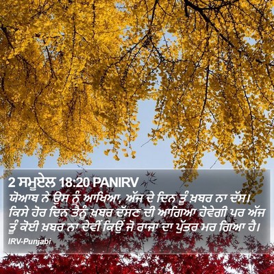2 ਸਮੂਏਲ 18:20 PANIRV Bible Verse Image