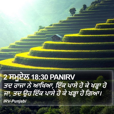 2 ਸਮੂਏਲ 18:30 PANIRV Bible Verse Image