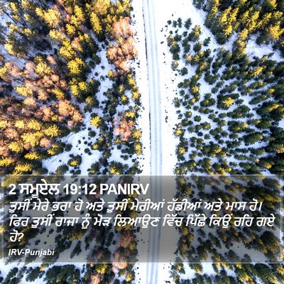 2 ਸਮੂਏਲ 19:12 PANIRV Bible Verse Image