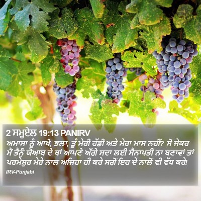 2 ਸਮੂਏਲ 19:13 PANIRV Bible Verse Image