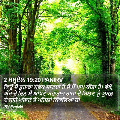 2 ਸਮੂਏਲ 19:20 PANIRV Bible Verse Image