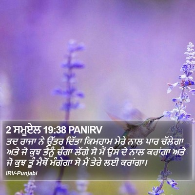 2 ਸਮੂਏਲ 19:38 PANIRV Bible Verse Image