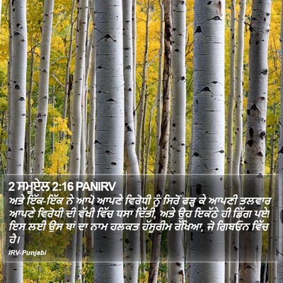 2 ਸਮੂਏਲ 2:16 PANIRV Bible Verse Image