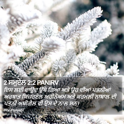 2 ਸਮੂਏਲ 2:2 PANIRV Bible Verse Image
