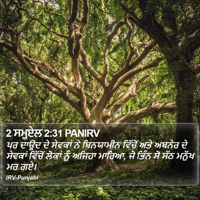 2 ਸਮੂਏਲ 2:31 PANIRV Bible Verse Image