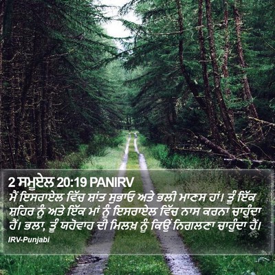 2 ਸਮੂਏਲ 20:19 PANIRV Bible Verse Image