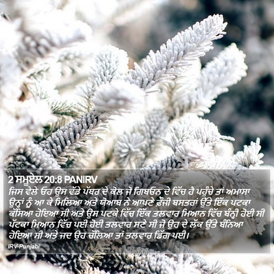 2 ਸਮੂਏਲ 20:8 PANIRV Bible Verse Image