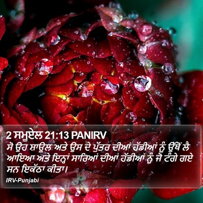 2 ਸਮੂਏਲ 21:13 PANIRV Bible Verse Image
