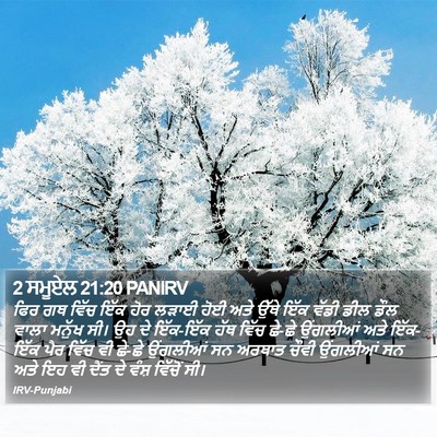 2 ਸਮੂਏਲ 21:20 PANIRV Bible Verse Image