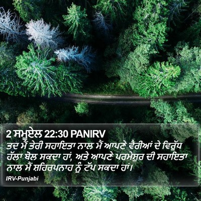 2 ਸਮੂਏਲ 22:30 PANIRV Bible Verse Image