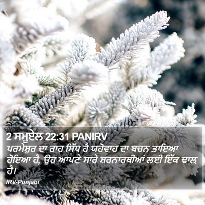 2 ਸਮੂਏਲ 22:31 PANIRV Bible Verse Image