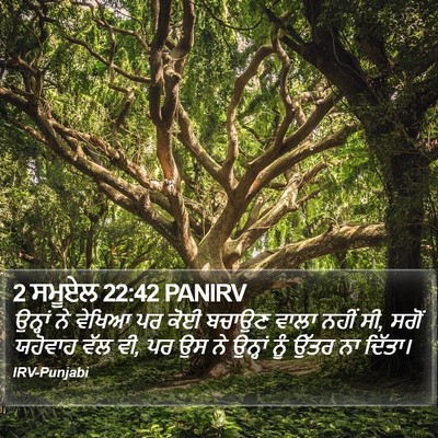 2 ਸਮੂਏਲ 22:42 PANIRV Bible Verse Image