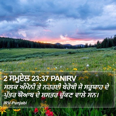 2 ਸਮੂਏਲ 23:37 PANIRV Bible Verse Image