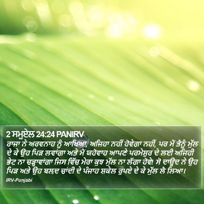 2 ਸਮੂਏਲ 24:24 PANIRV Bible Verse Image