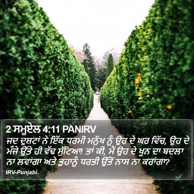 2 ਸਮੂਏਲ 4:11 PANIRV Bible Verse Image