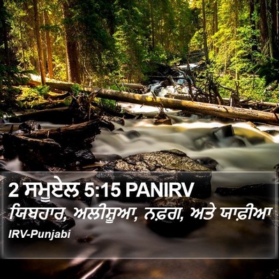 2 ਸਮੂਏਲ 5:15 PANIRV Bible Verse Image