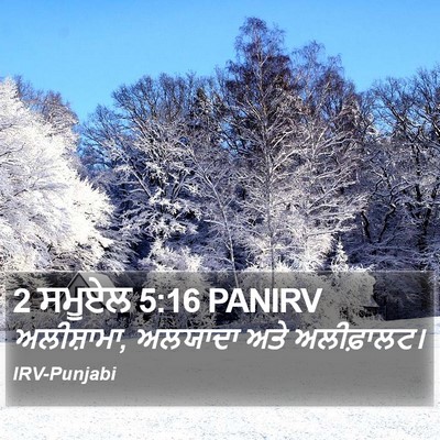 2 ਸਮੂਏਲ 5:16 PANIRV Bible Verse Image