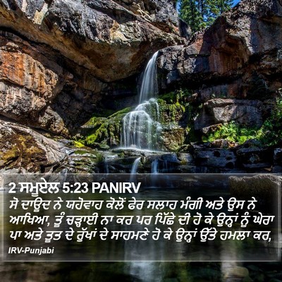 2 ਸਮੂਏਲ 5:23 PANIRV Bible Verse Image