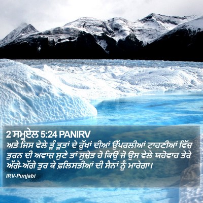 2 ਸਮੂਏਲ 5:24 PANIRV Bible Verse Image