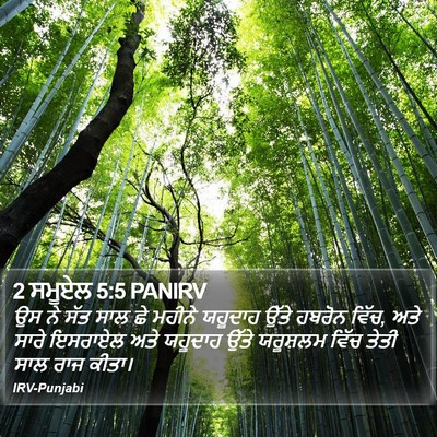 2 ਸਮੂਏਲ 5:5 PANIRV Bible Verse Image