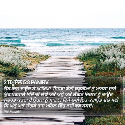 2 ਸਮੂਏਲ 5:8 PANIRV Bible Verse Image