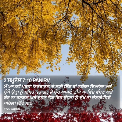 2 ਸਮੂਏਲ 7:10 PANIRV Bible Verse Image