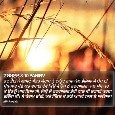 2 ਸਮੂਏਲ 8:10 PANIRV Bible Verse Image