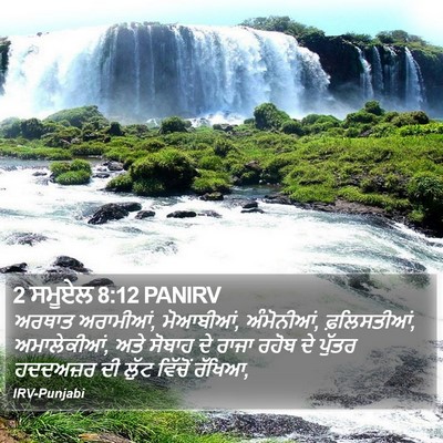 2 ਸਮੂਏਲ 8:12 PANIRV Bible Verse Image