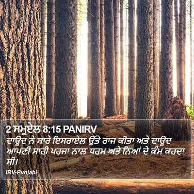 2 ਸਮੂਏਲ 8:15 PANIRV Bible Verse Image