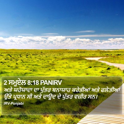 2 ਸਮੂਏਲ 8:18 PANIRV Bible Verse Image