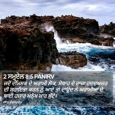 2 ਸਮੂਏਲ 8:5 PANIRV Bible Verse Image