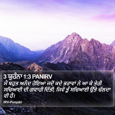 3 ਯੂਹੰਨਾ 1:3 PANIRV Bible Verse Image