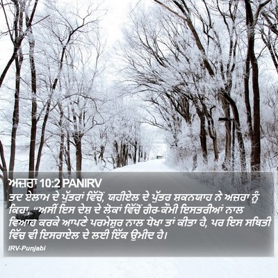 ਅਜ਼ਰਾ 10:2 PANIRV Bible Verse Image